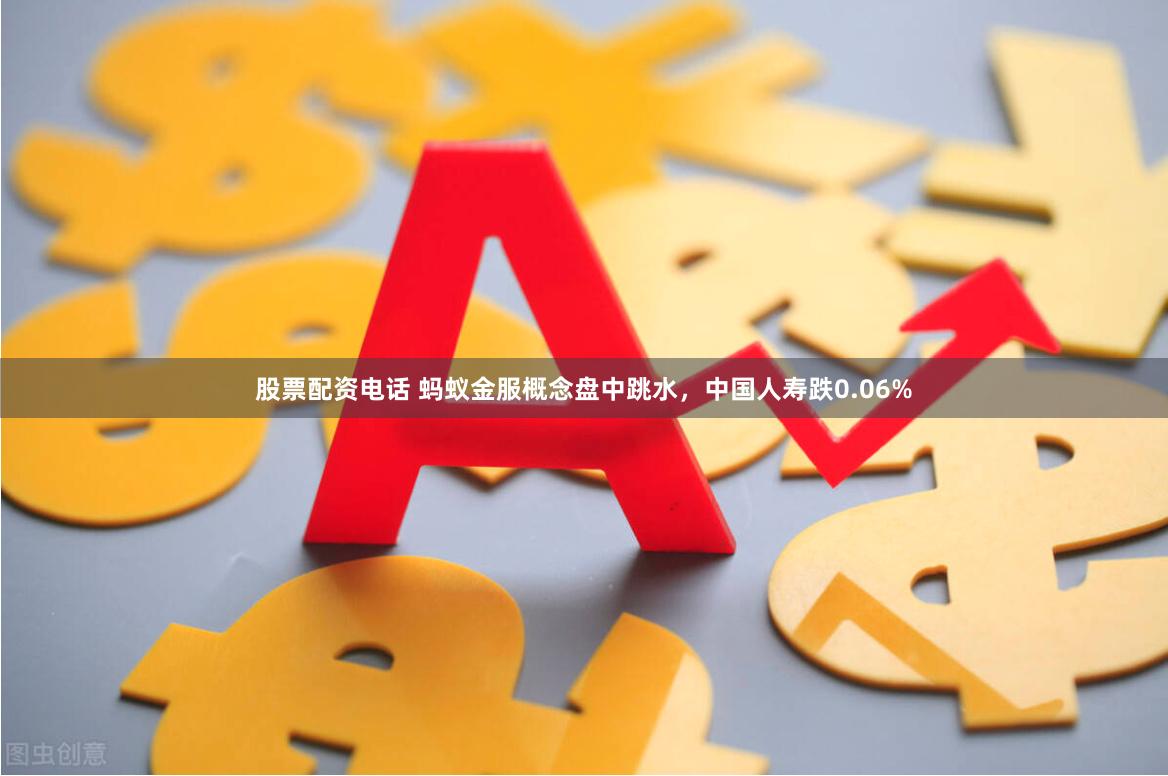 股票配资电话 蚂蚁金服概念盘中跳水，中国人寿跌0.06%