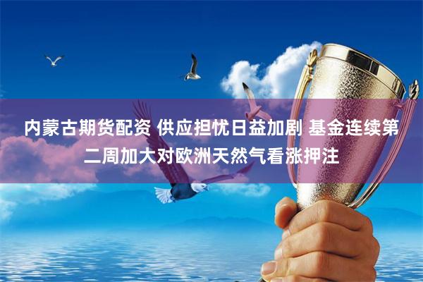 内蒙古期货配资 供应担忧日益加剧 基金连续第二周加大对欧洲天然气看涨押注
