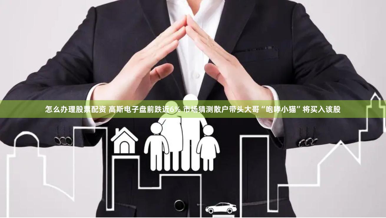 怎么办理股票配资 高斯电子盘前跌近6% 市场猜测散户带头大哥“咆哮小猫”将买入该股